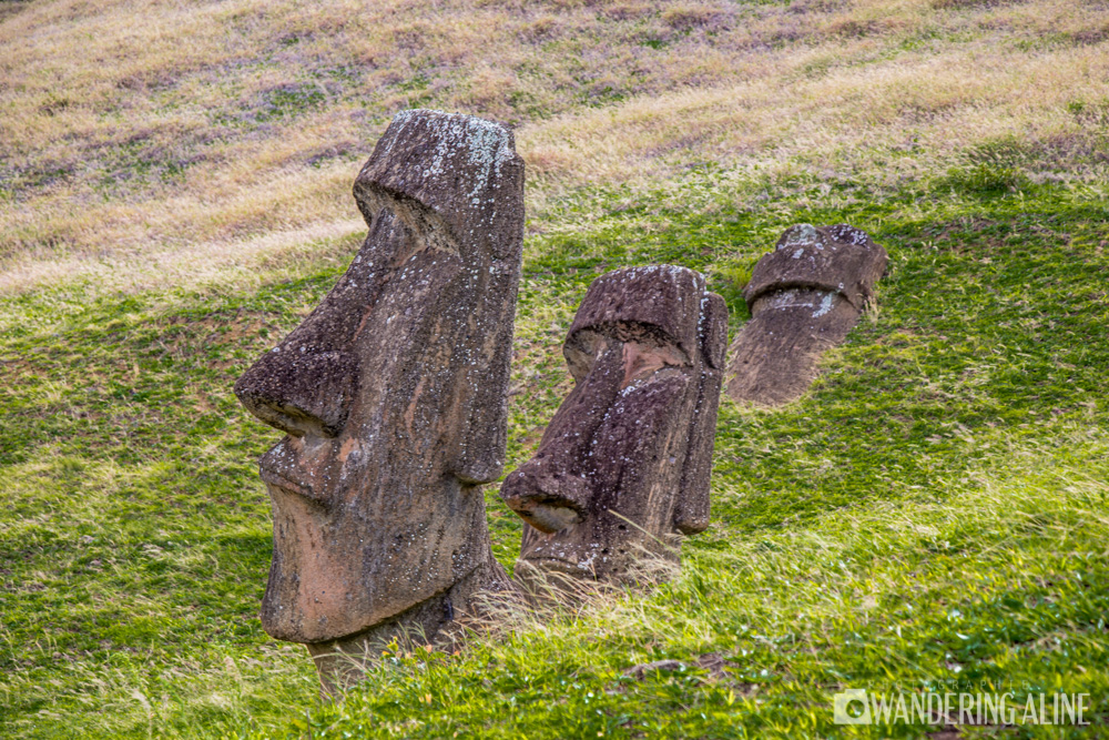 —tetes de moai