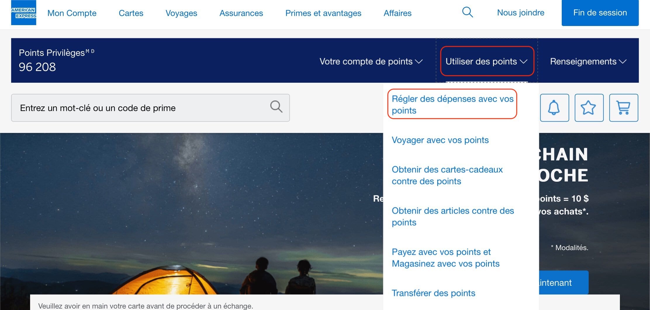Comment utiliser des Points-Privilèges American Express pour des achats quotidiens et de voyages - utiliser des points amex