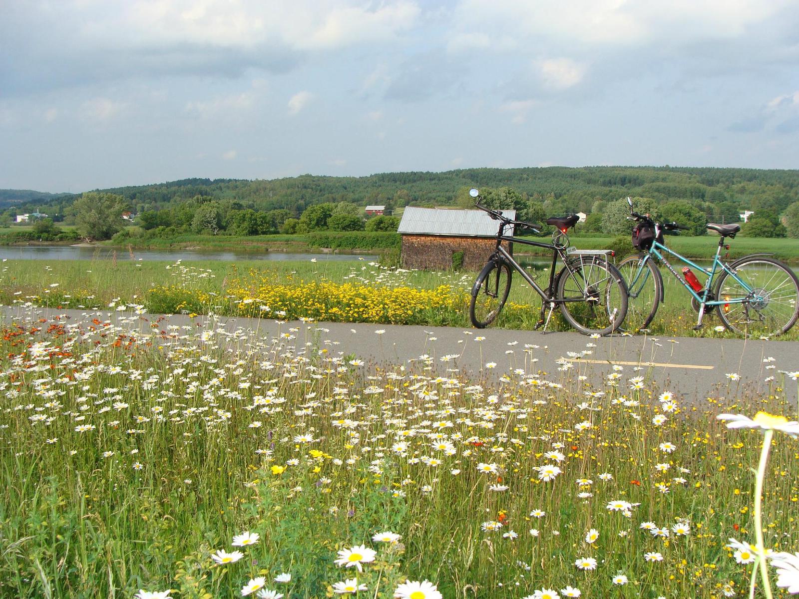 Canada: Road Trip in Chaudière-Appalaches - Route 132 - -c-------b--a----c---f-------c-b----