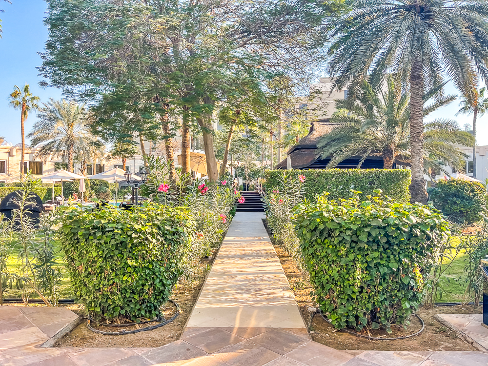 Chemin à travers les jardins fleuris au le meridien dubai hotel conference