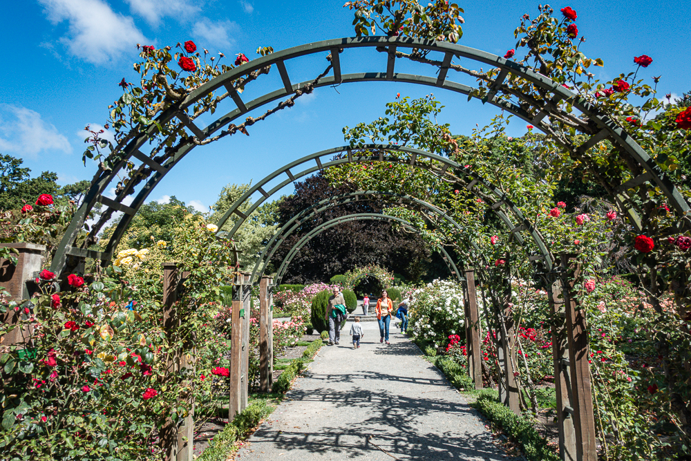 East Coast Australia to New Zealand: Family Travel - Christchurch Nouvelle-Zélande---