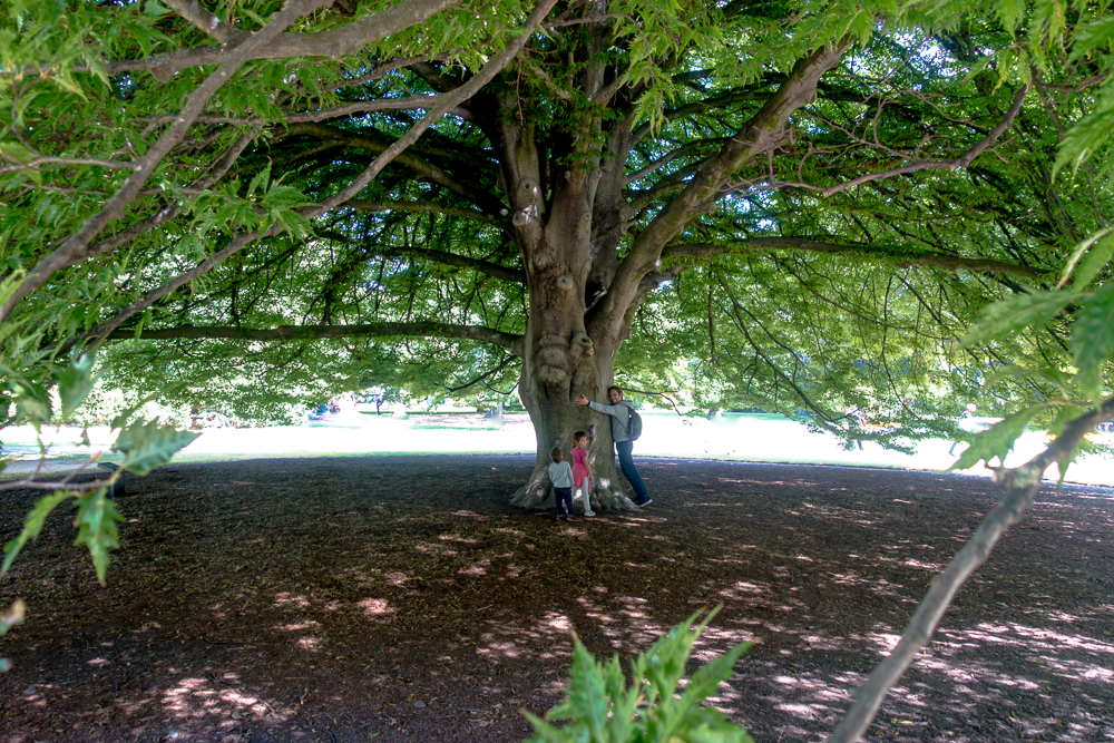 East Coast Australia to New Zealand: Family Travel - Christchurch Nouvelle-Zélande---