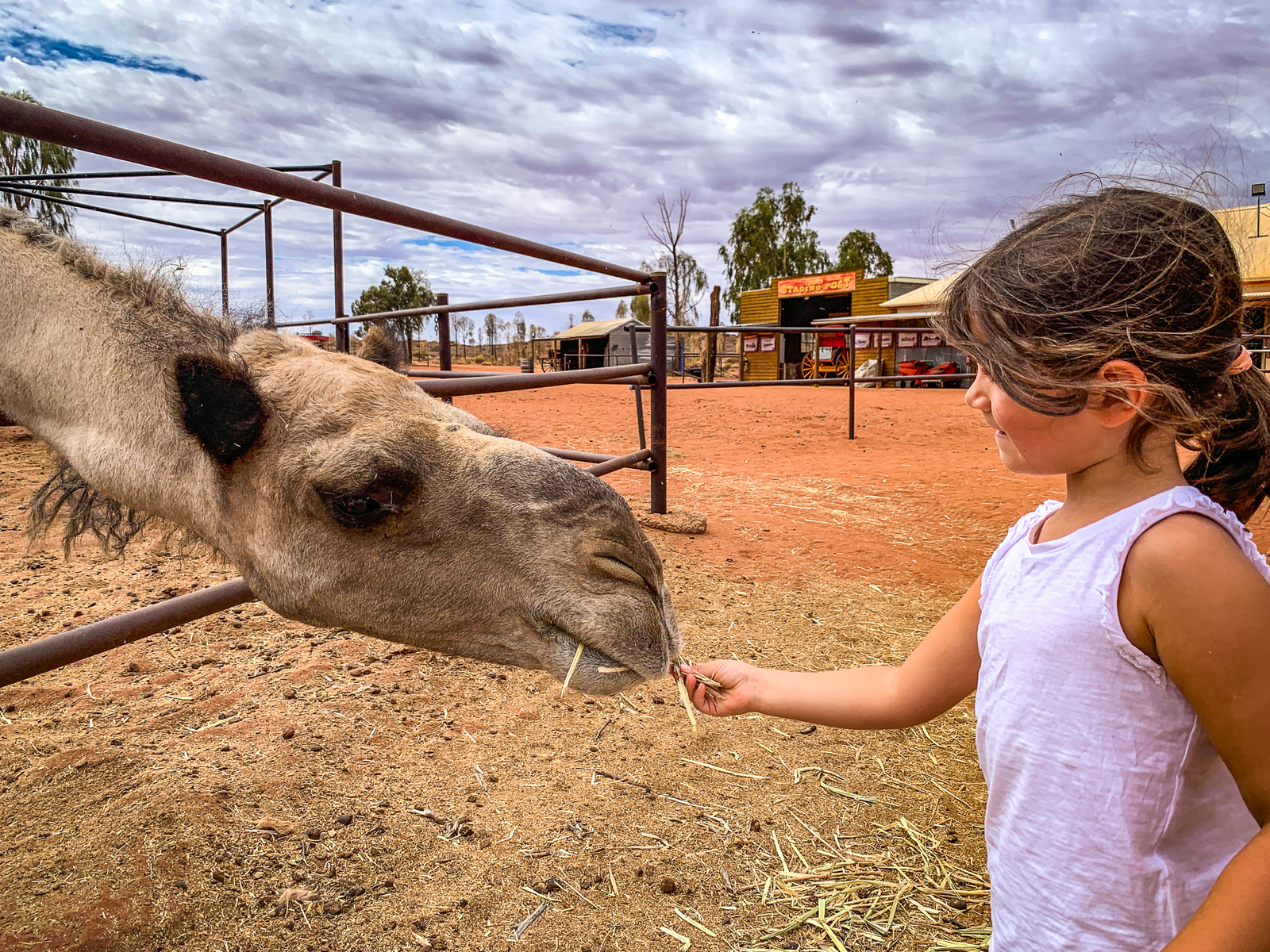 Australia as a Family: Melbourne - Ayers Rock - Darwin - S-- Australie---