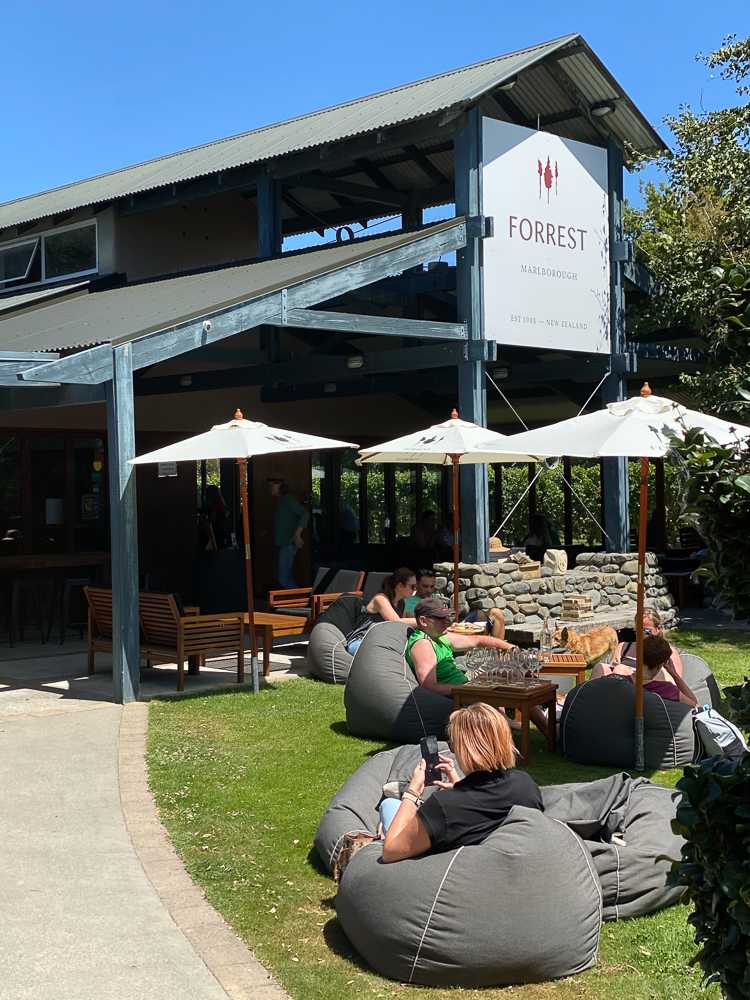 New Zealand: South Island Family Tour - Forrest Nouvelle Zélande