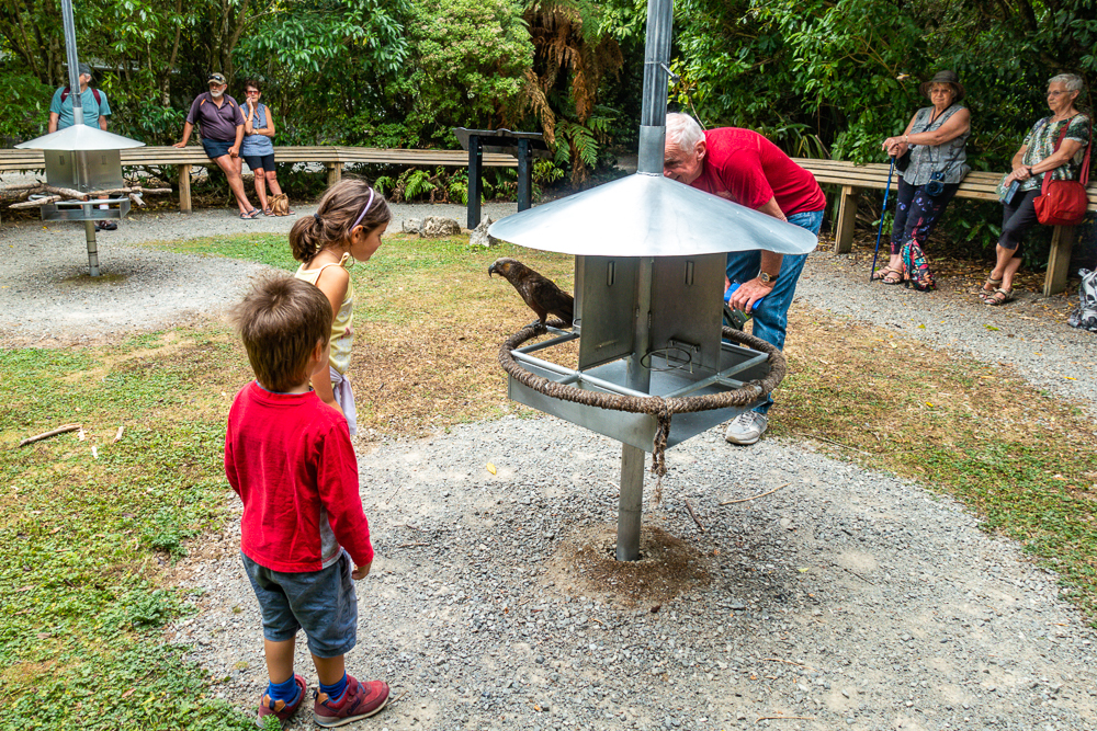 New Zealand: Itinerary from South to North | Family Travel - Nord Nouvelle Zélande
