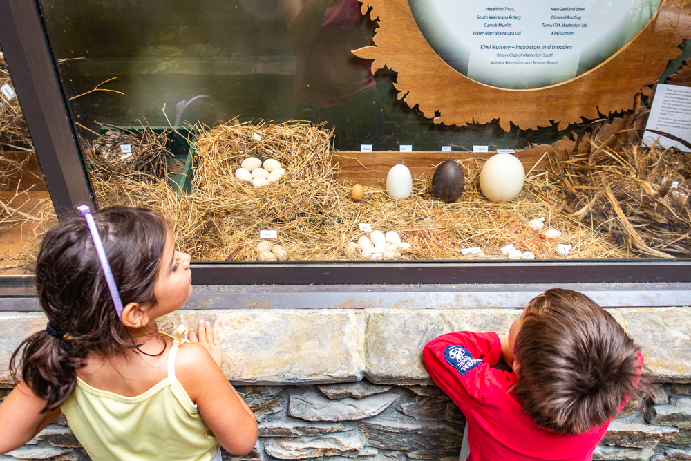 New Zealand: Itinerary from South to North | Family Travel - Nord Nouvelle Zélande