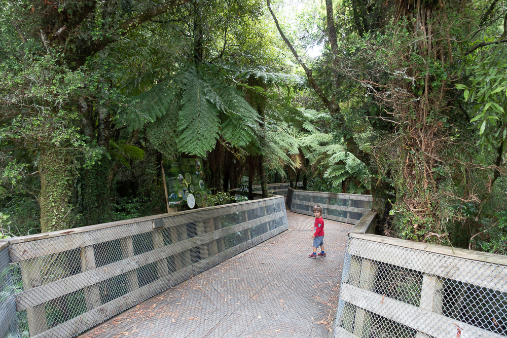 New Zealand: Itinerary from South to North | Family Travel - Nord Nouvelle Zélande