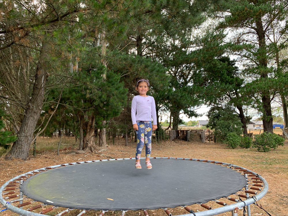 New Zealand: Itinerary from South to North | Family Travel - Nord Nouvelle Zélande