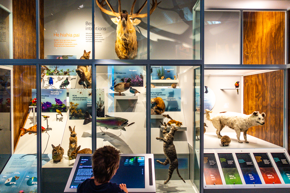New Zealand: Itinerary from South to North | Family Travel - Nord Nouvelle Zélande