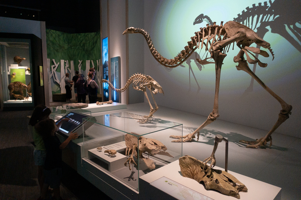 New Zealand: Itinerary from South to North | Family Travel - Nord Nouvelle Zélande
