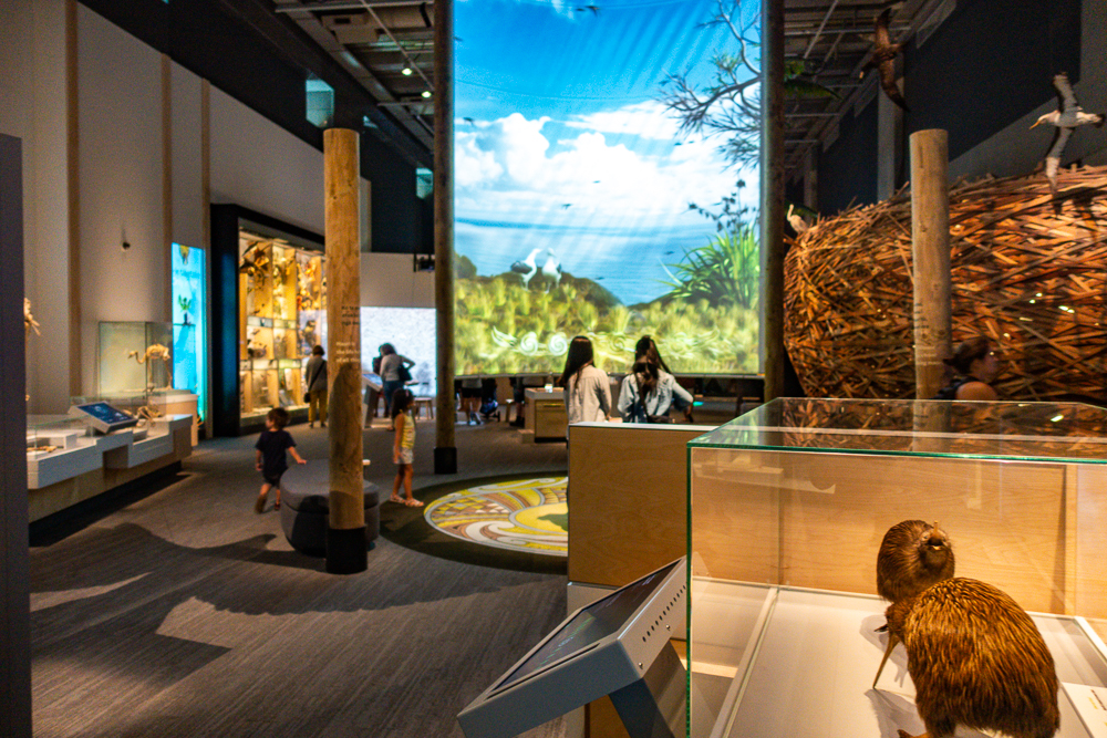 New Zealand: Itinerary from South to North | Family Travel - Nord Nouvelle Zélande