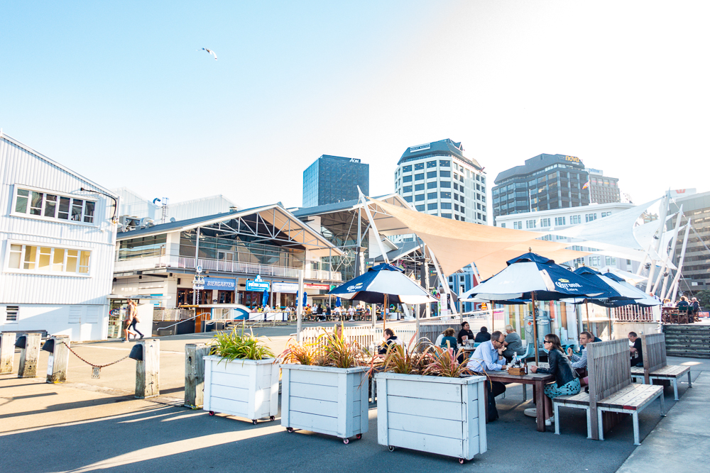 New Zealand: Itinerary from South to North | Family Travel - Nord Nouvelle Zélande
