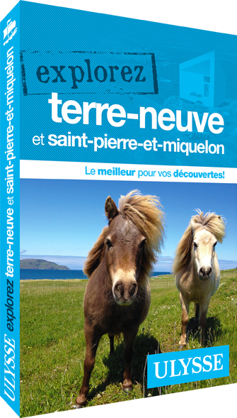 Canada: Newfoundland Travel Guide | Itineraries and Highlights - explorez terre neuve ulysse