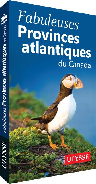 Canada: Newfoundland Travel Guide | Itineraries and Highlights - fabuleuses provinces atlantique ulysse