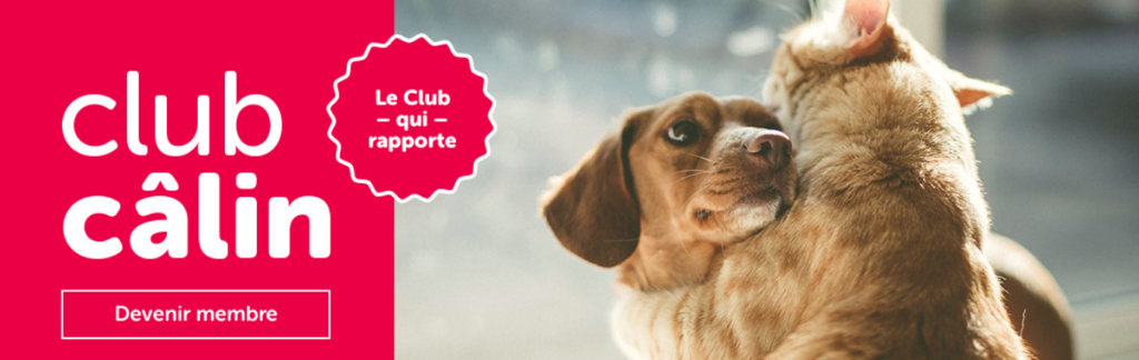 Club Calin Banniere