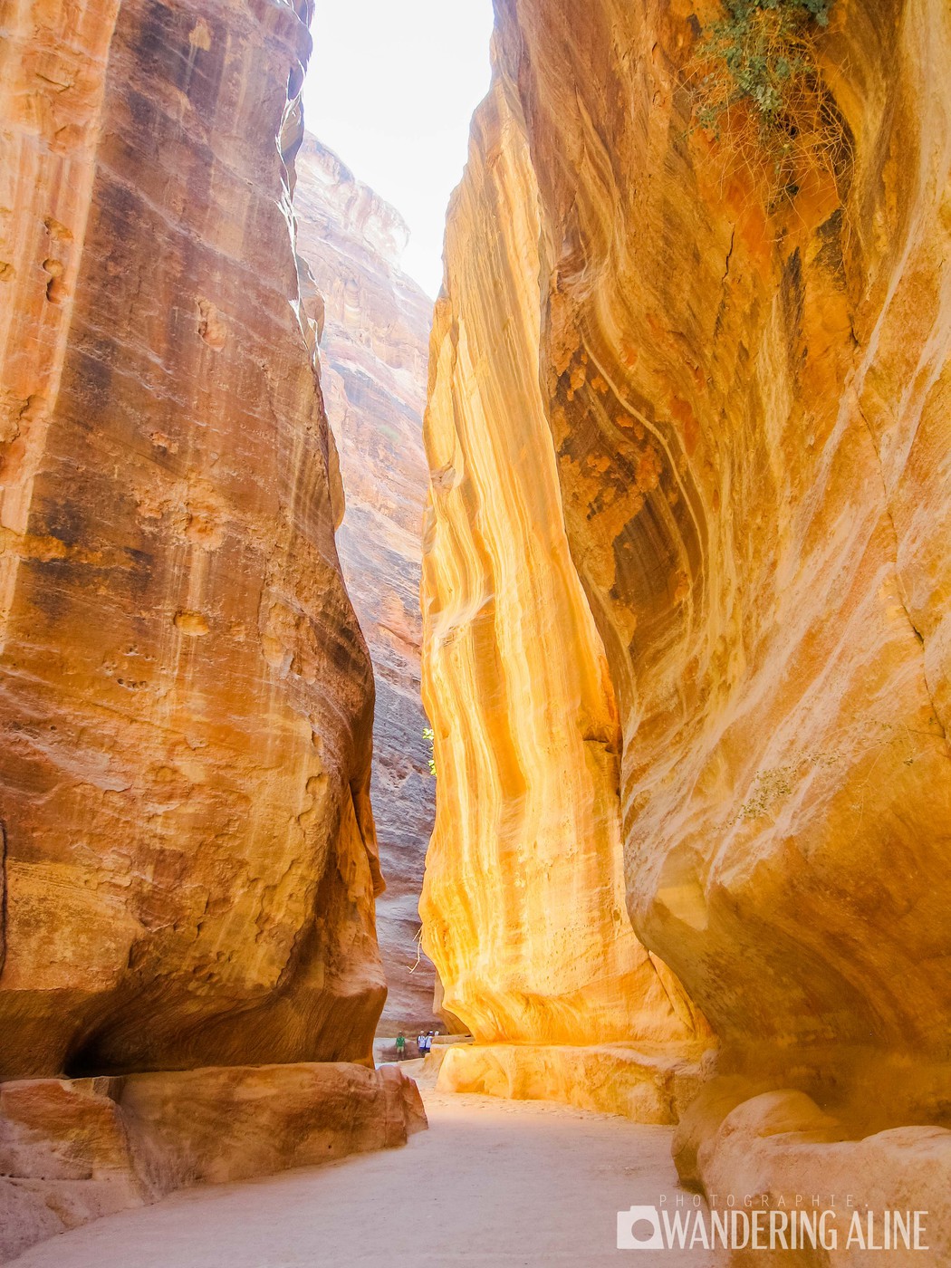Bucket List : Visiter les 7 Merveilles du Monde - Les gorges de Pétra