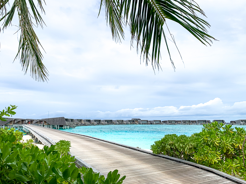 The St. Regis Maldives Vommuli Resort-38