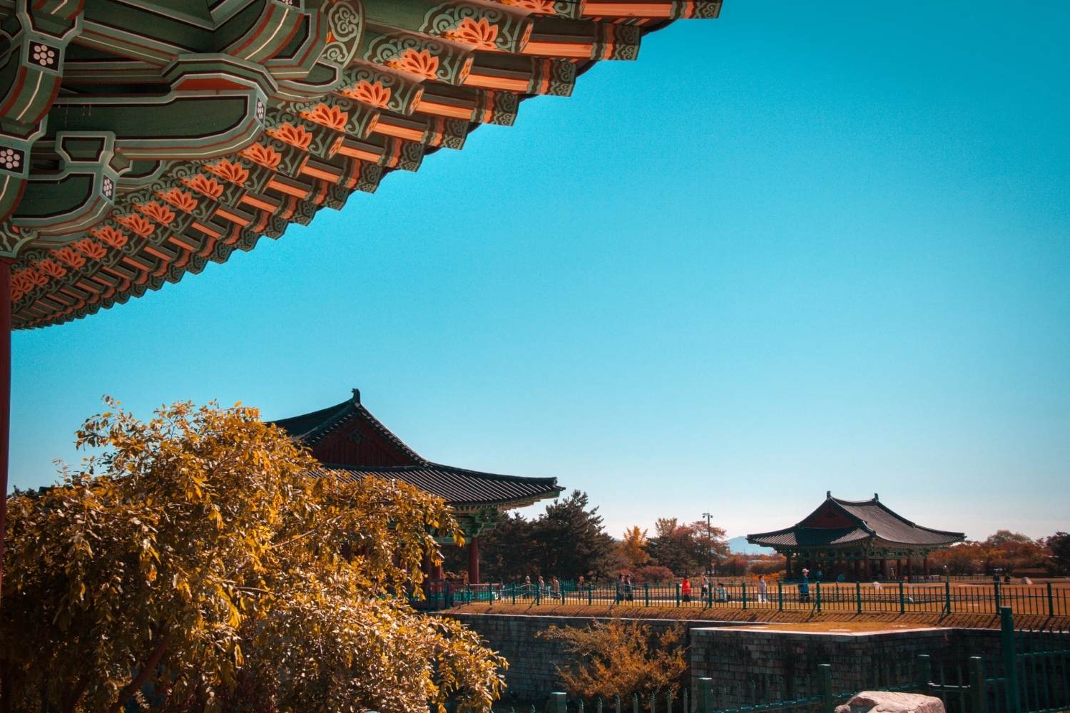 Corée du Sud&nbsp;: Guide de voyage | Itinéraires et Incontournables - Musee National de Gyeongju