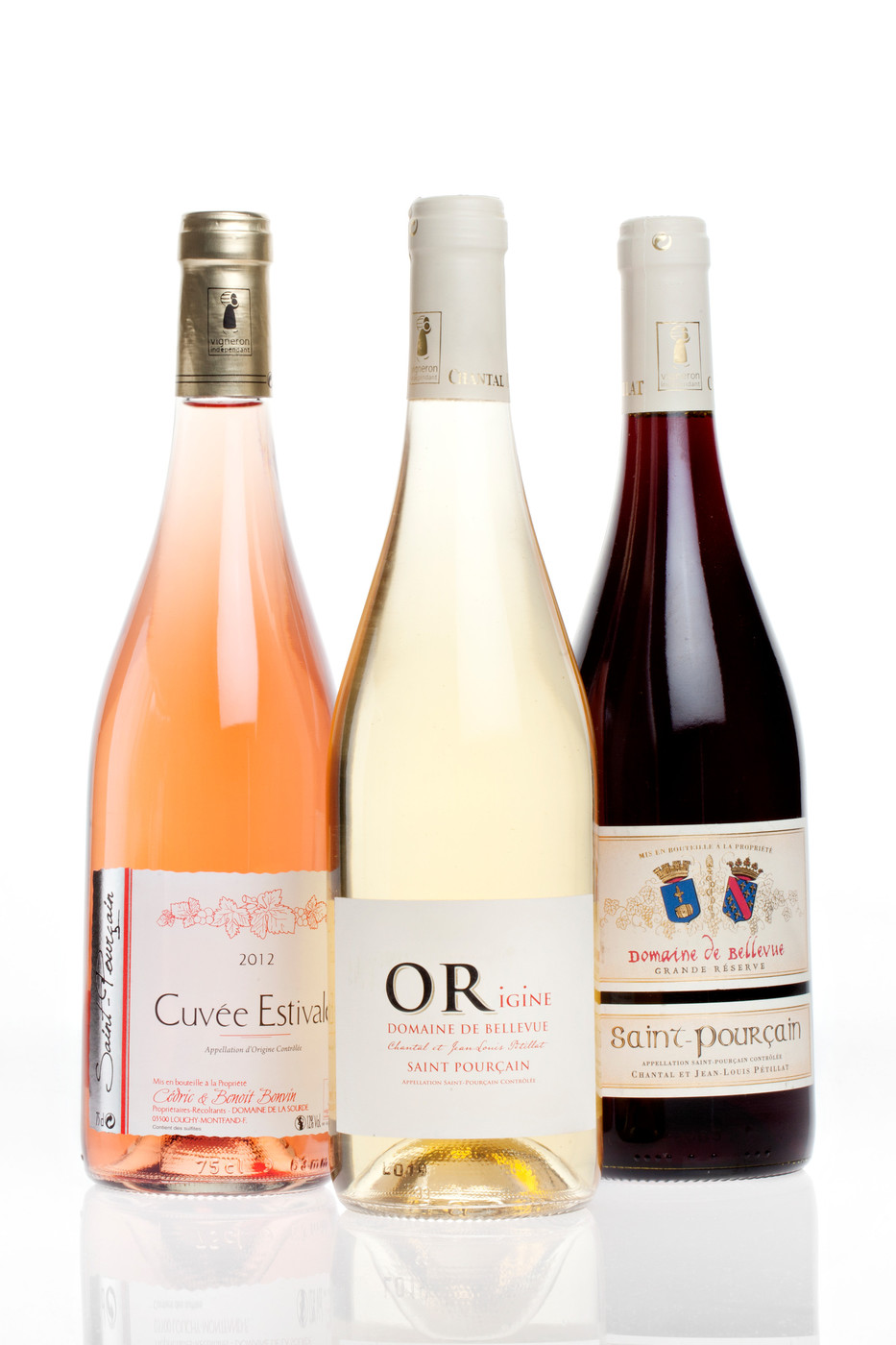 France : Guide de voyage en Auvergne | Itinéraires et Incontournables - Vins de Saint-Pourçain AOP. Crédit L. Combe/Auvergne-Rhône-Alpes Tourisme