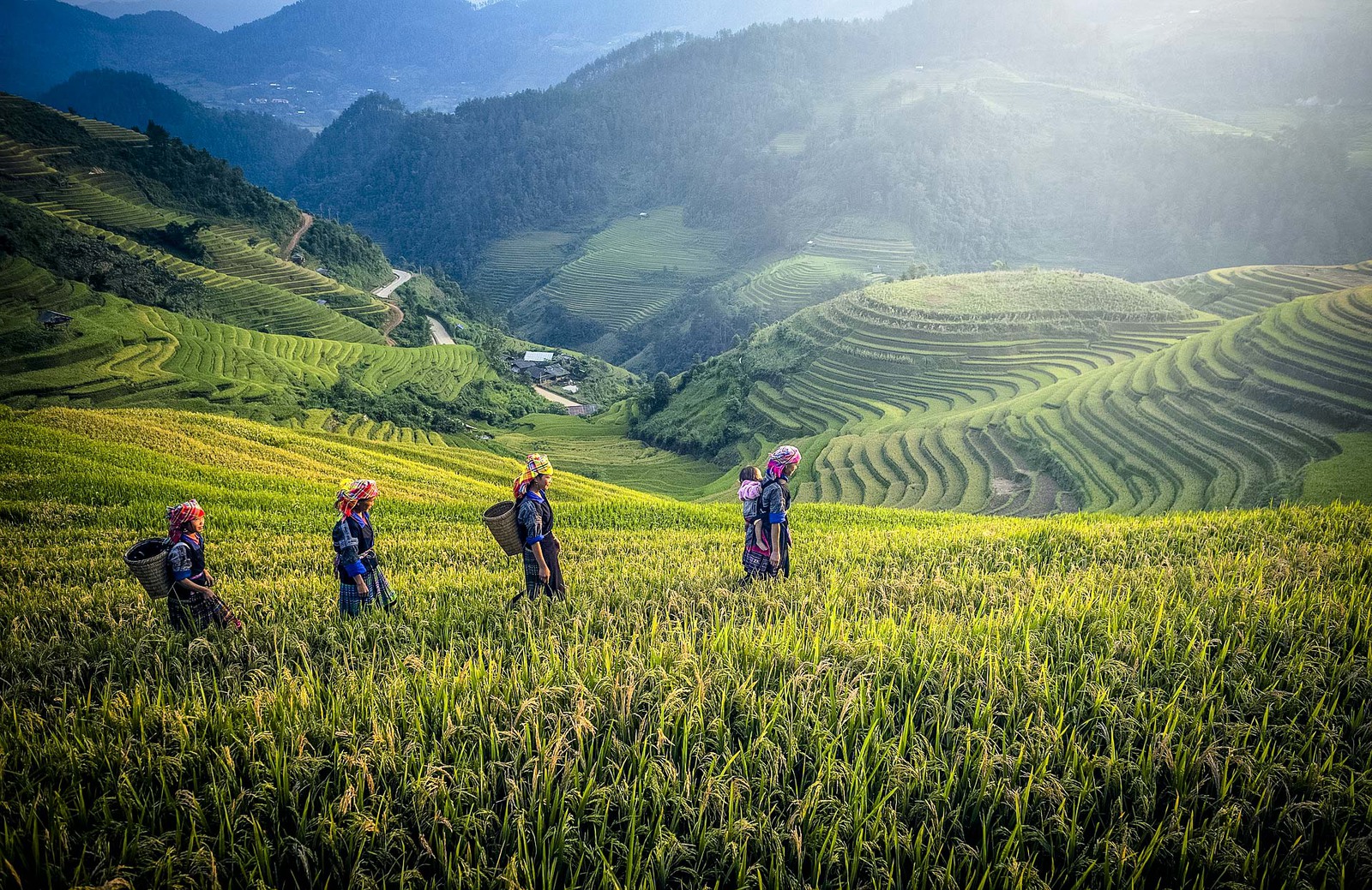 10 beautiful landscapes to discover with reward points - Bali