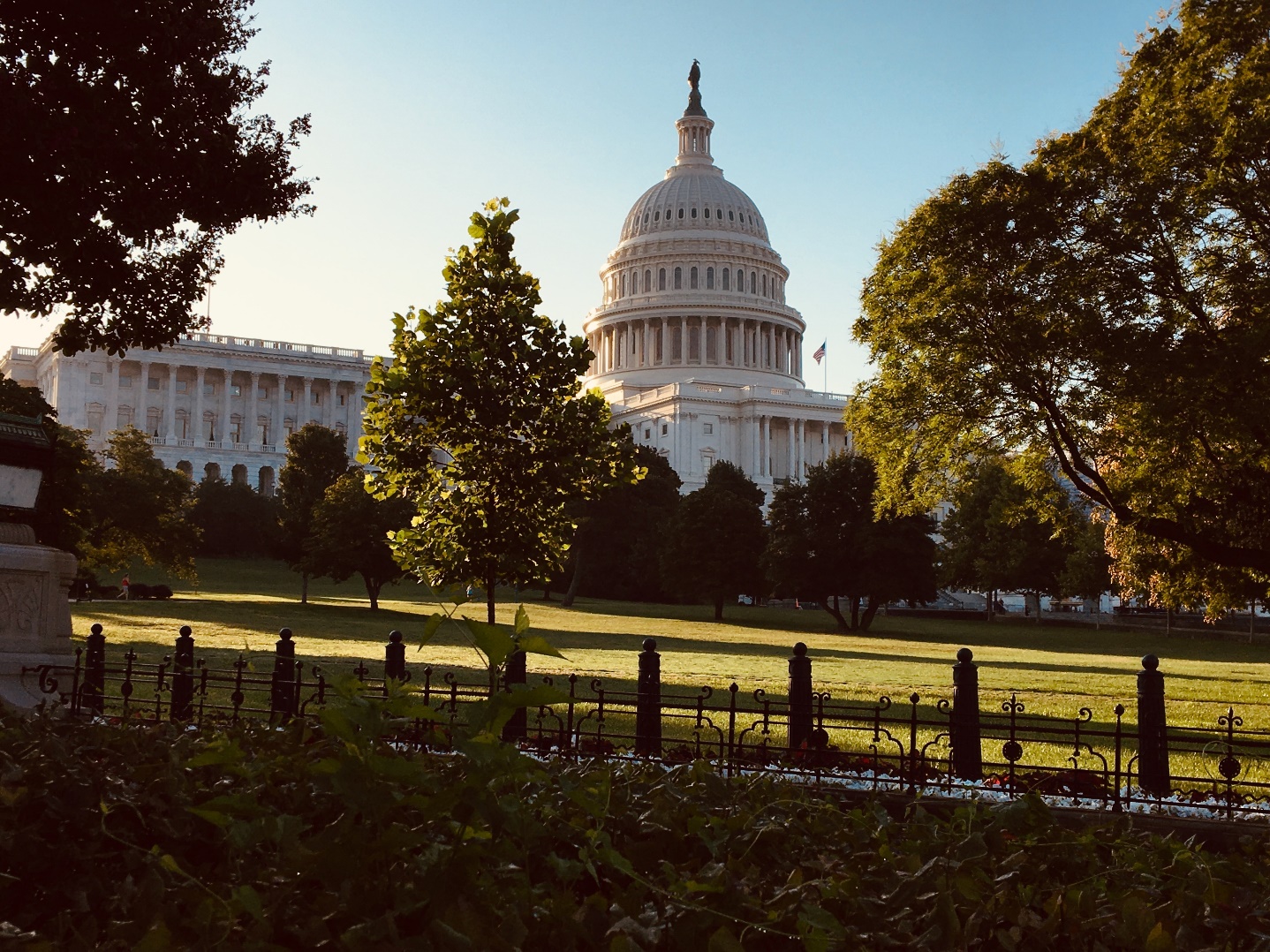 United States: what to do in Washington D.C. - Capitol Washington DC Credit Emmanuelle