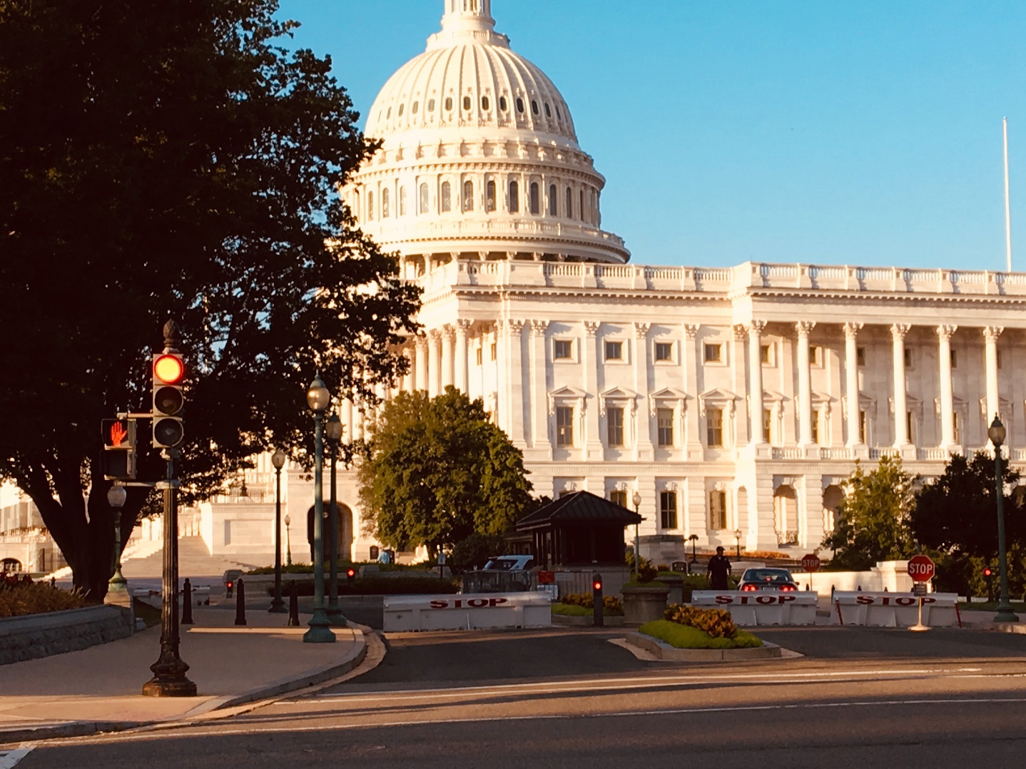 United States: what to do in Washington D.C. - Washington DC Crédit Emmanuelle18