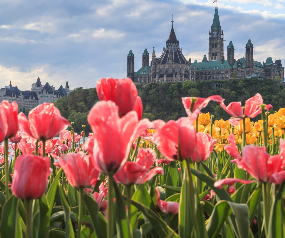 Festivsl des tulipes Ottawa