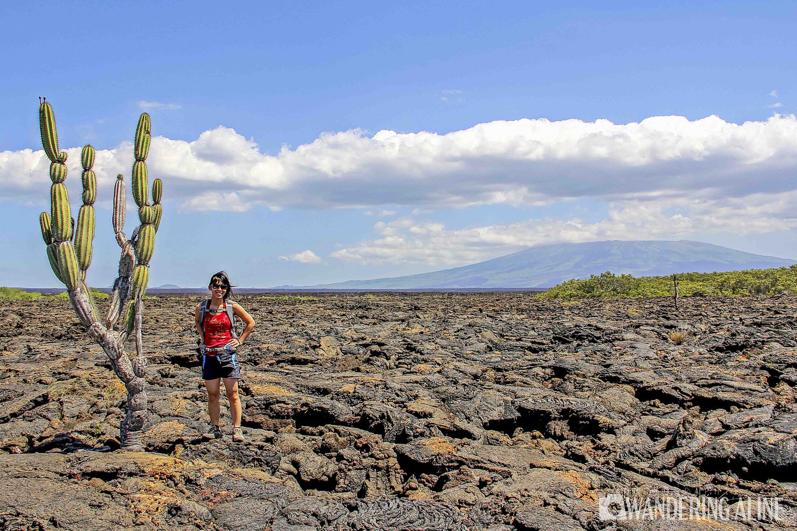 10 beautiful landscapes to discover with reward points - Galapagos 2