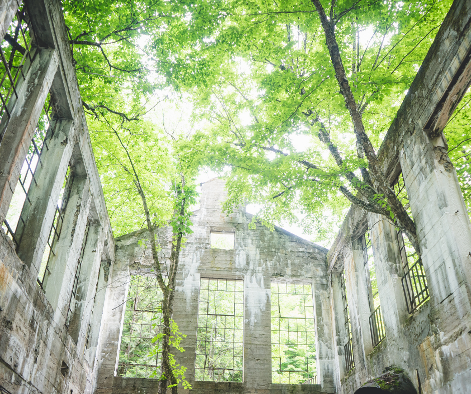 Ruines dans le parc Gatineau