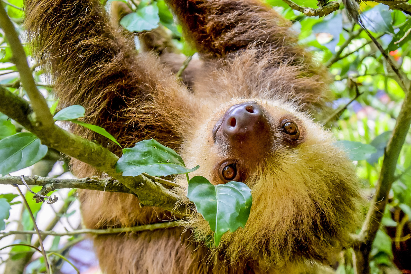 Where to go during Spring Break using Reward Points? - Costa Rica