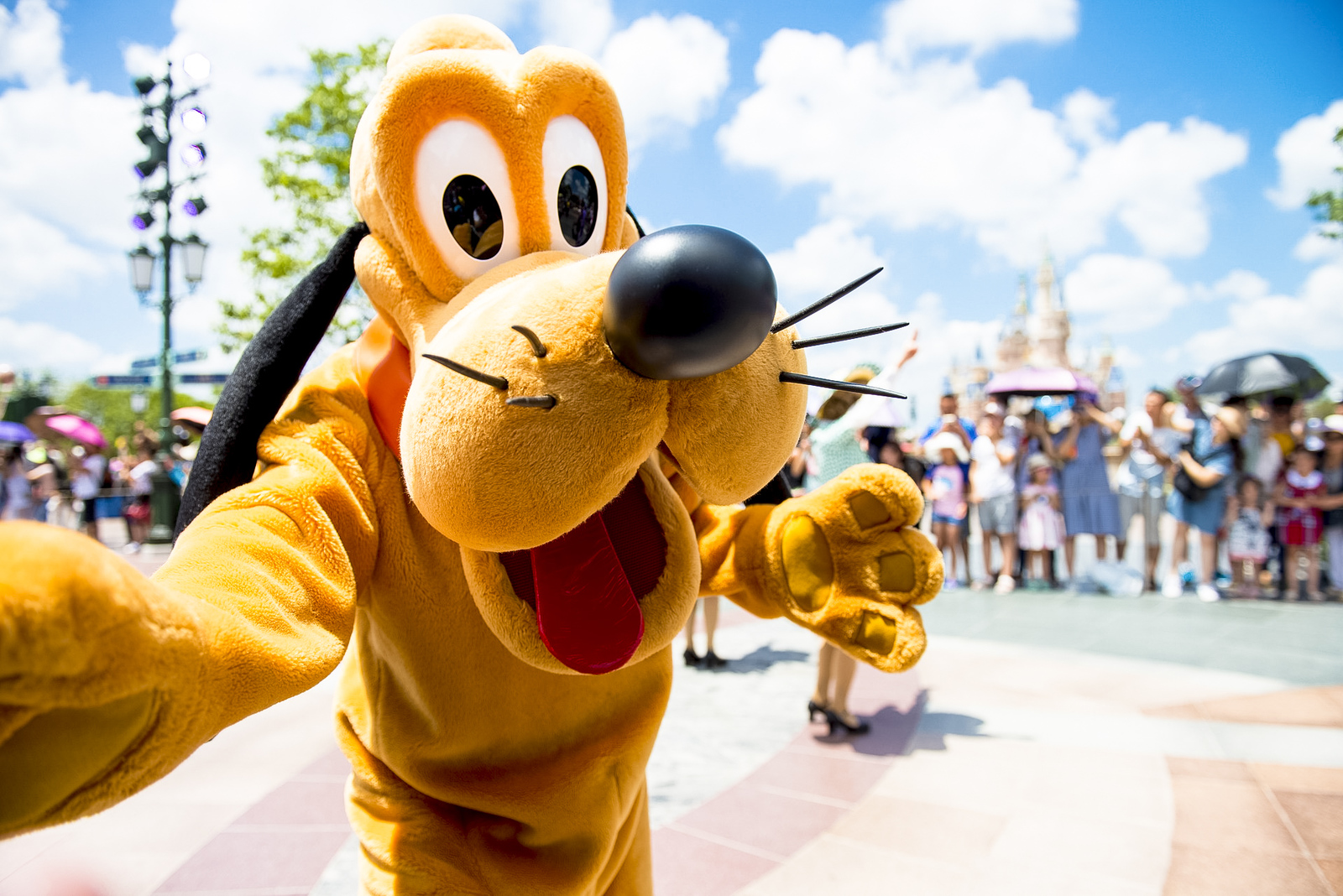 Where to go during Spring Break using Reward Points? - pluto-5962694_1920