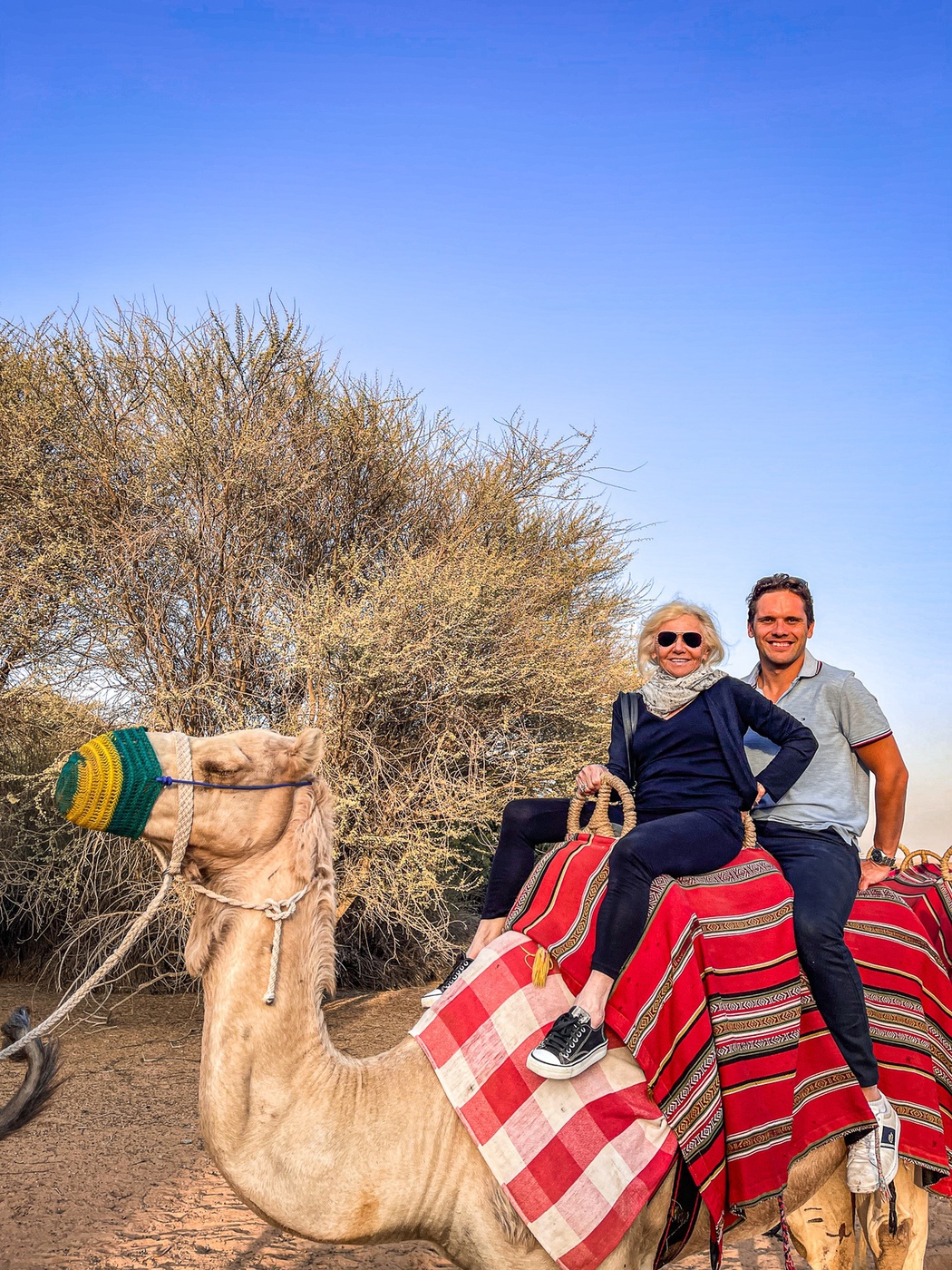 Review&nbsp;: Suite Emirates - Al Maha, a Luxury Collection Desert Resort & Spa, Dubai | Marriott Bonvoy - Al Maha, Luxury Collection, Dubai-37