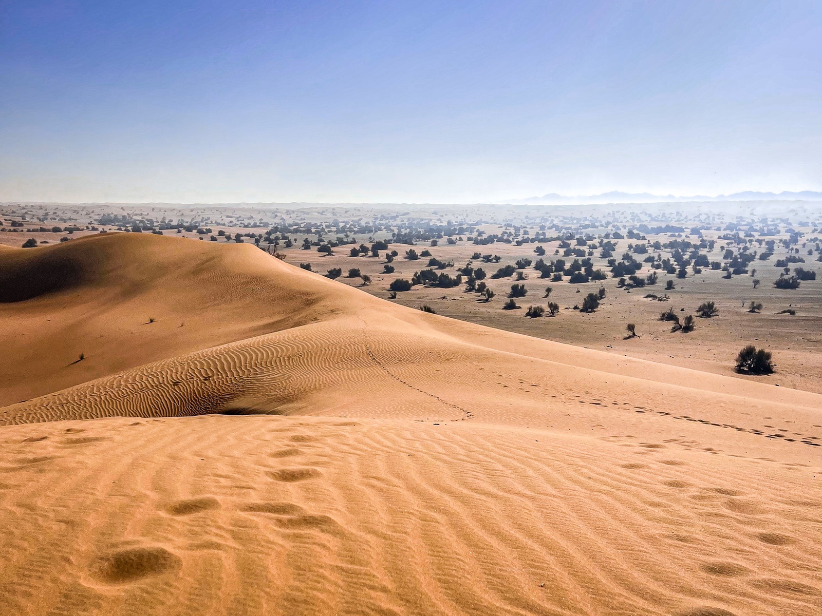 Review&nbsp;: Suite Emirates - Al Maha, a Luxury Collection Desert Resort & Spa, Dubai | Marriott Bonvoy - Al Maha, Luxury Collection, Dubai-50