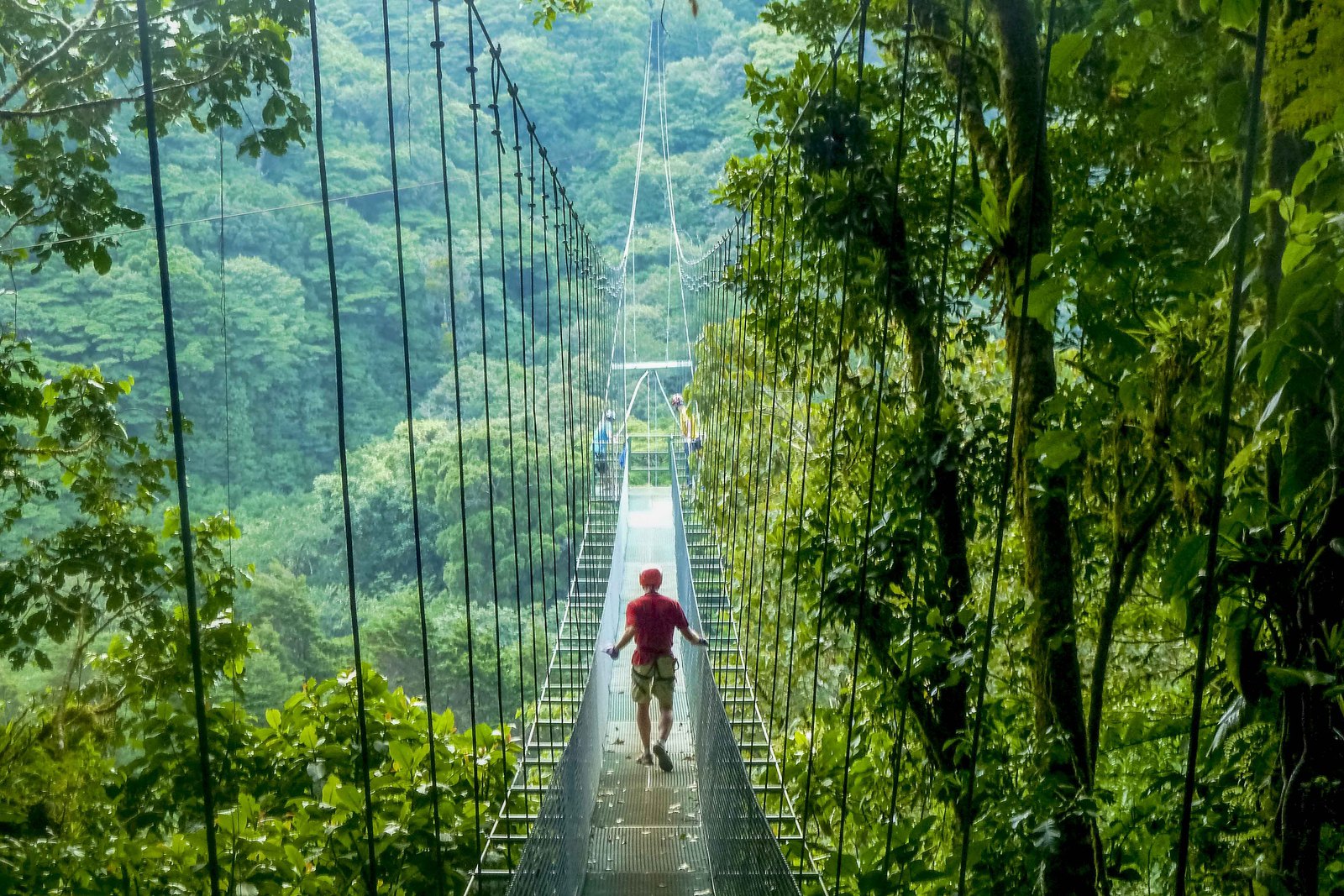Costa Rica&nbsp;: guide de voyage | Itinéraires et Incontournables - Costa Rica Monteverde