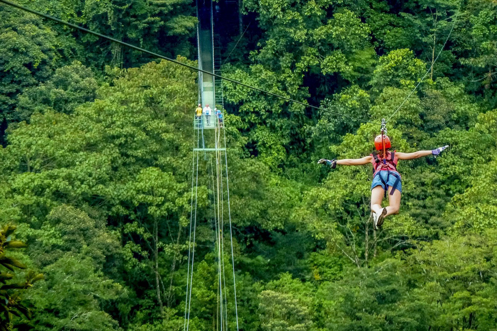 Costa Rica&nbsp;: guide de voyage | Itinéraires et Incontournables - Costa Rica Monteverde