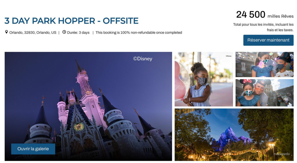 Hopper Magic Kingdom Disney World Orlando