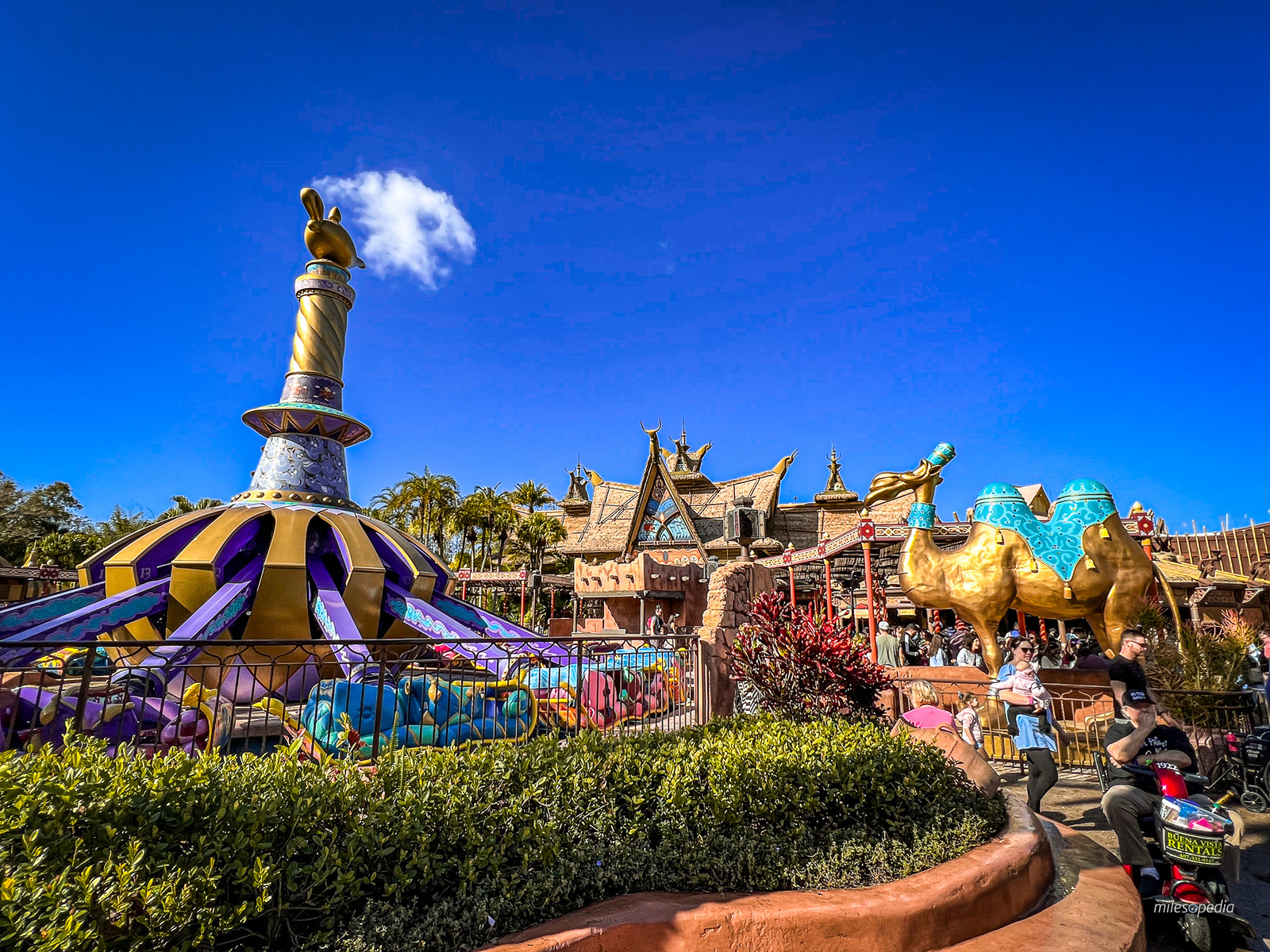 Magic Kingdom Disney World Orlando-20