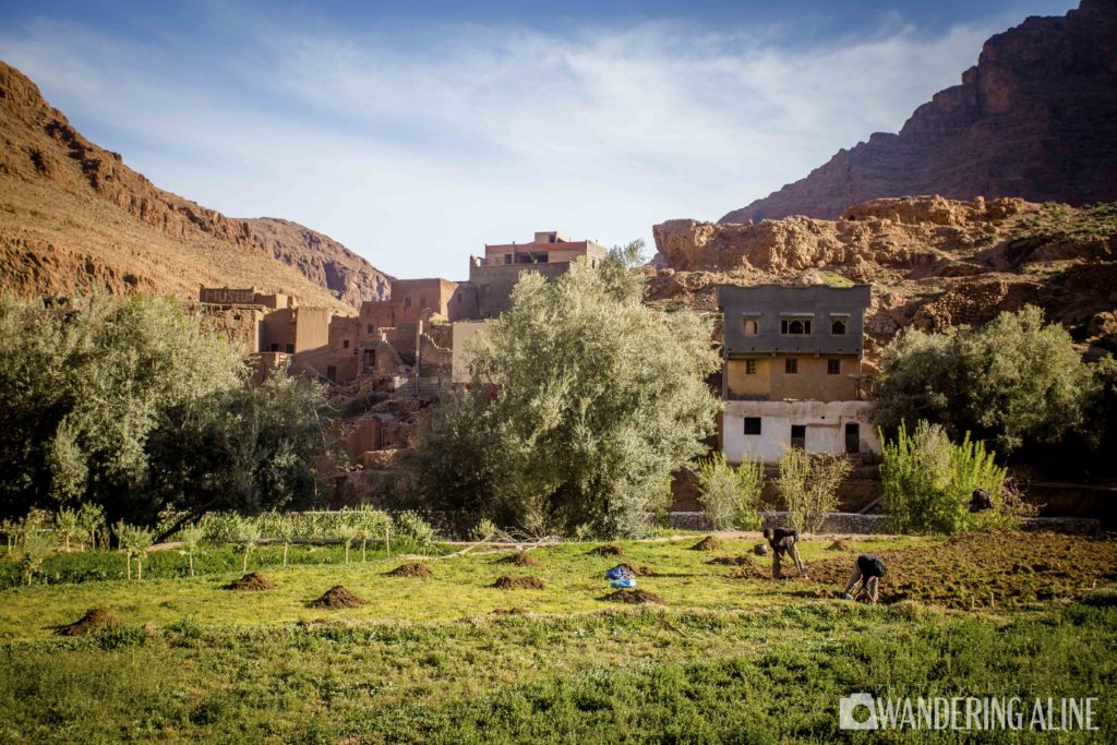 paysage maroc 2