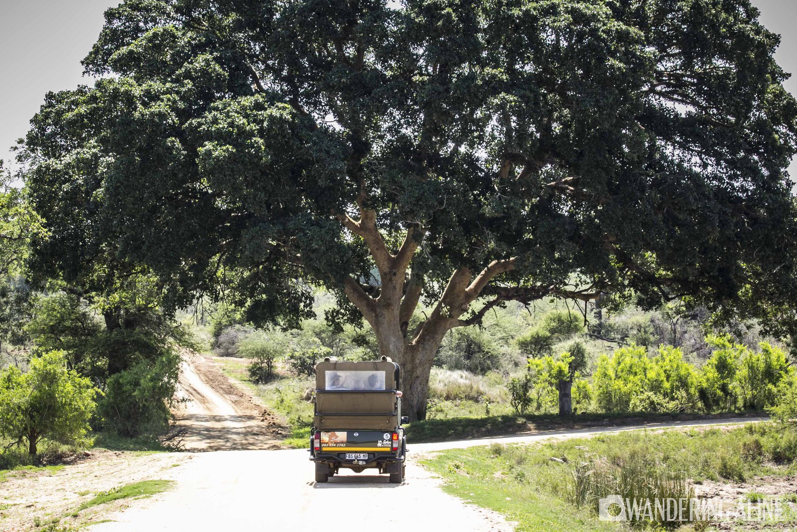 Budget Travel: Destinations Where the Cost of Living Is Low and the Canadian Dollar is Strong - Afrique du Sud 2