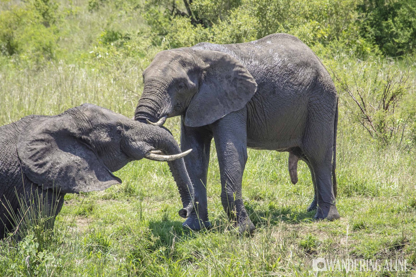 Budget Travel: Destinations Where the Cost of Living Is Low and the Canadian Dollar is Strong - Afrique du Sud