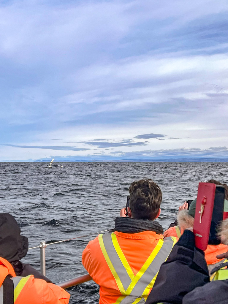Canada: Discovering Whales on the Côte-Nord | Plan Your Dream Trip - Whale watching Credit: Maude