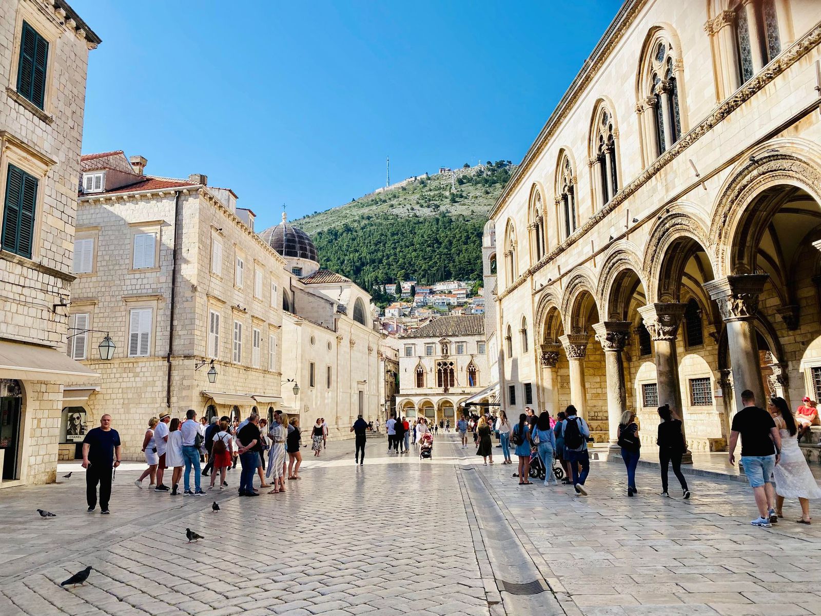 8. Vieille ville, Dubrovnik - Marjorie D. Lafond