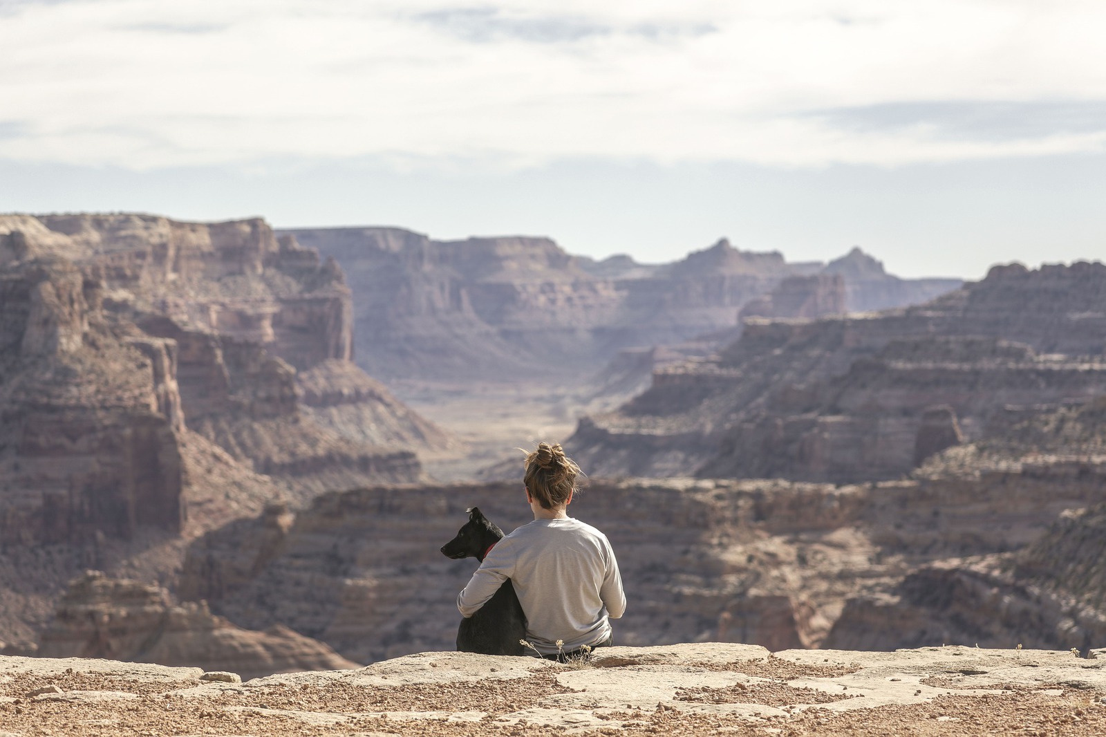 Comment voyager l’esprit tranquille avec son animal de compagnie? - chien voyage assurance