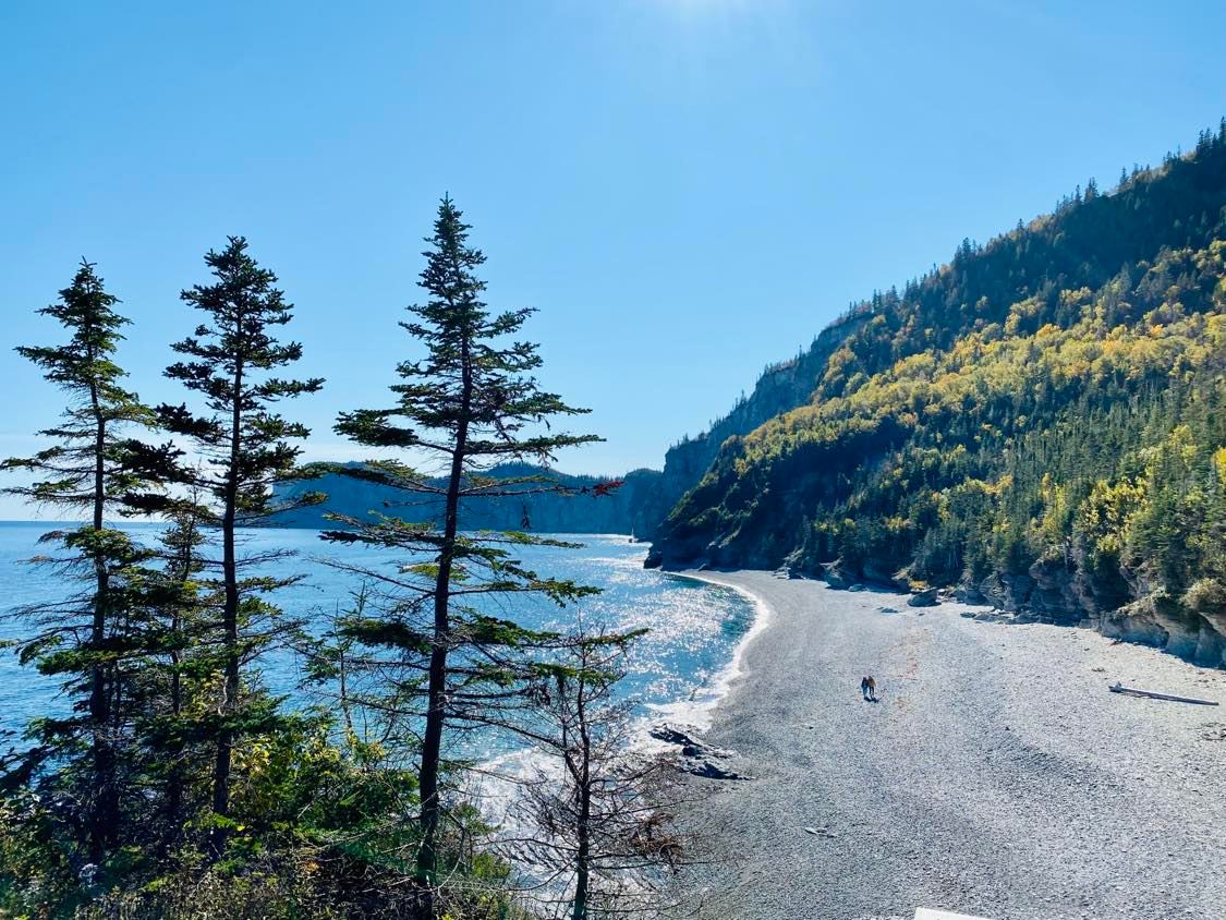 Gaspesie: A list of good addresses in Gaspé - Marjorie D. Lafond