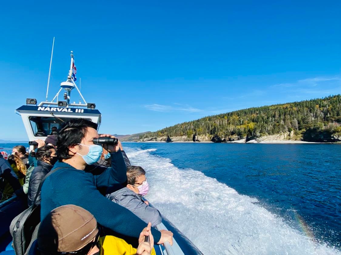 Gaspesie: A list of good addresses in Gaspé - Marjorie D. Lafond