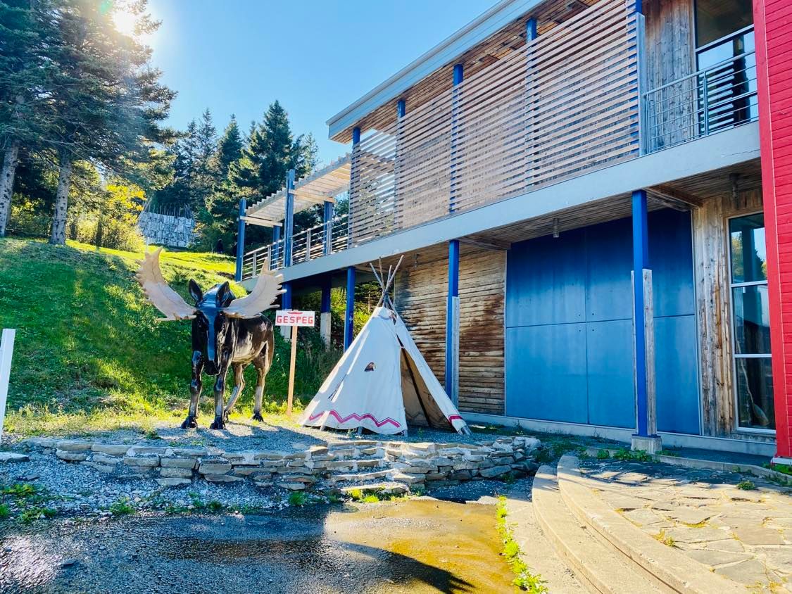 Gaspesie: A list of good addresses in Gaspé - Marjorie D. Lafond