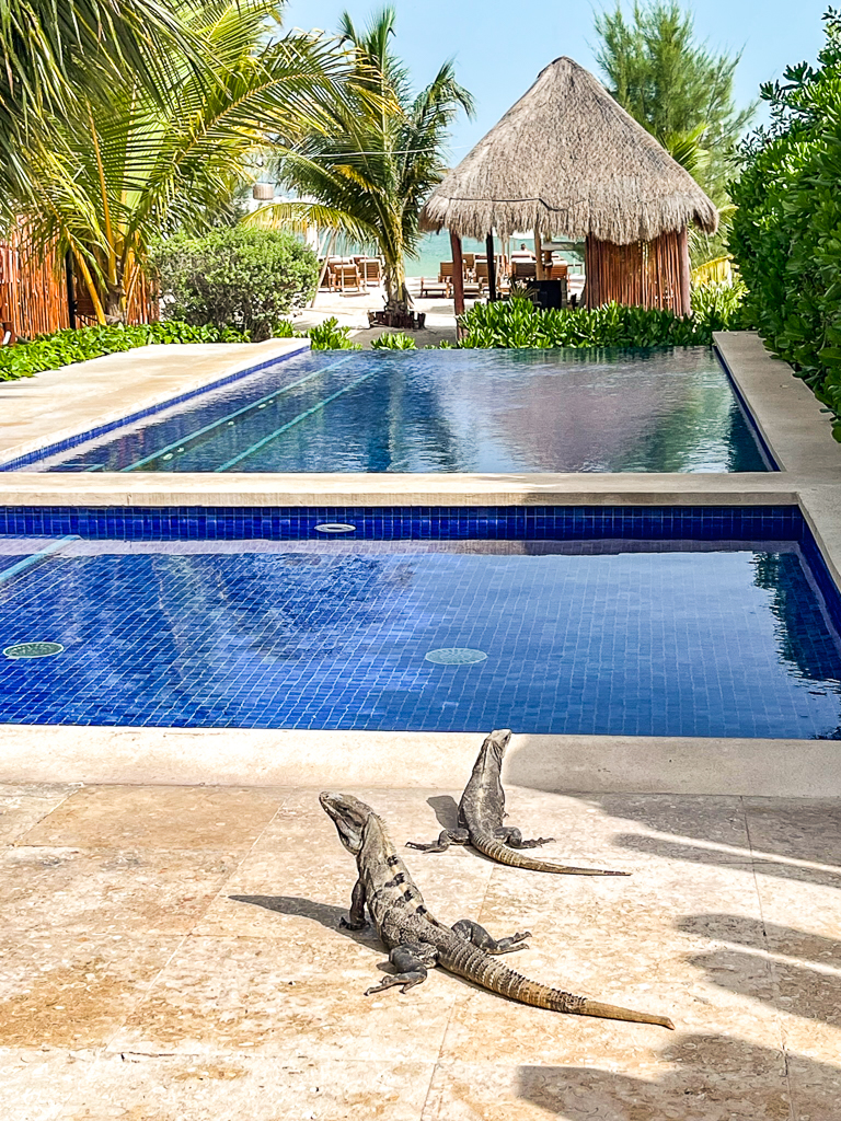 Mexico: 14 days backpacking in Mexico City and Holbox - Hôtel Mystique
