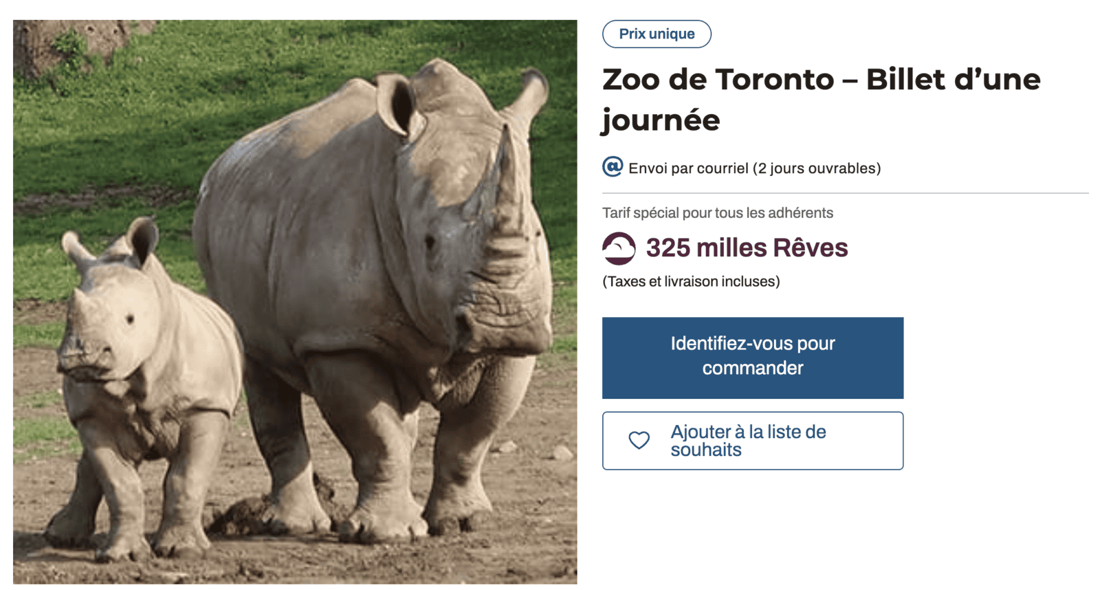 Guide de voyage: Que faire pour un court séjour à Toronto - zoo milles