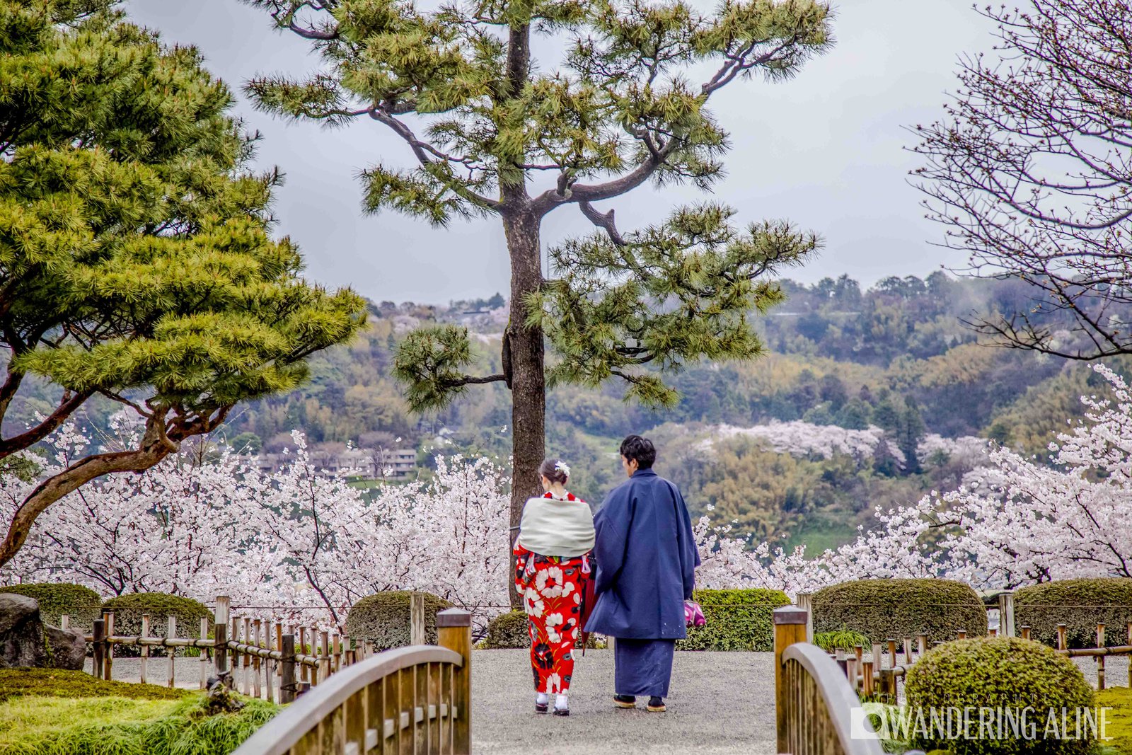 Once in a lifetime trips: 10 journeys you should take - IMG-9923