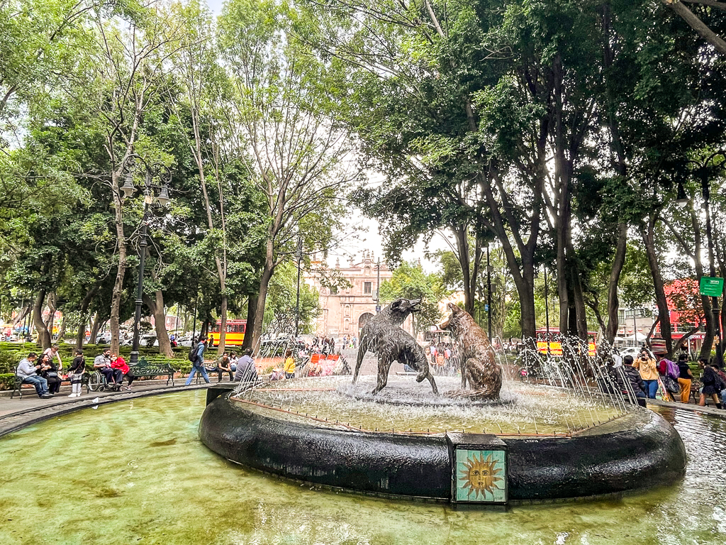 Mexico: 14 days backpacking in Mexico City and Holbox - Fountaine des coyotes
